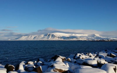 Ársskýrsla ReykjavíkurAkademíunnar ses. fyrir árið 2015 er komin út