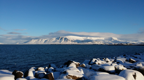 Ársskýrsla ReykjavíkurAkademíunnar ses. fyrir árið 2015 er komin út