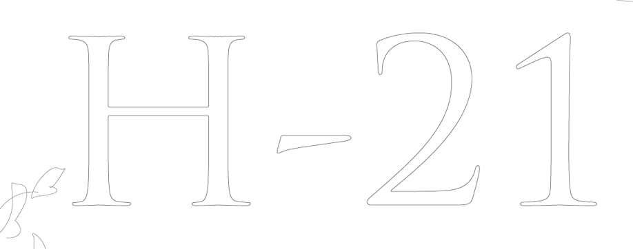 H21